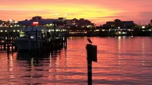 Basking in the rich twilight of a sunset, a bird sits atop a post near a dock.